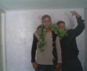 les amai